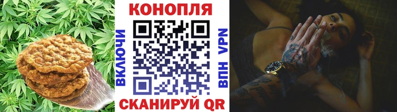 МЕГА сайт  Пущино  Печенье с ТГК марихуана 