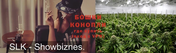 СК Новозыбков